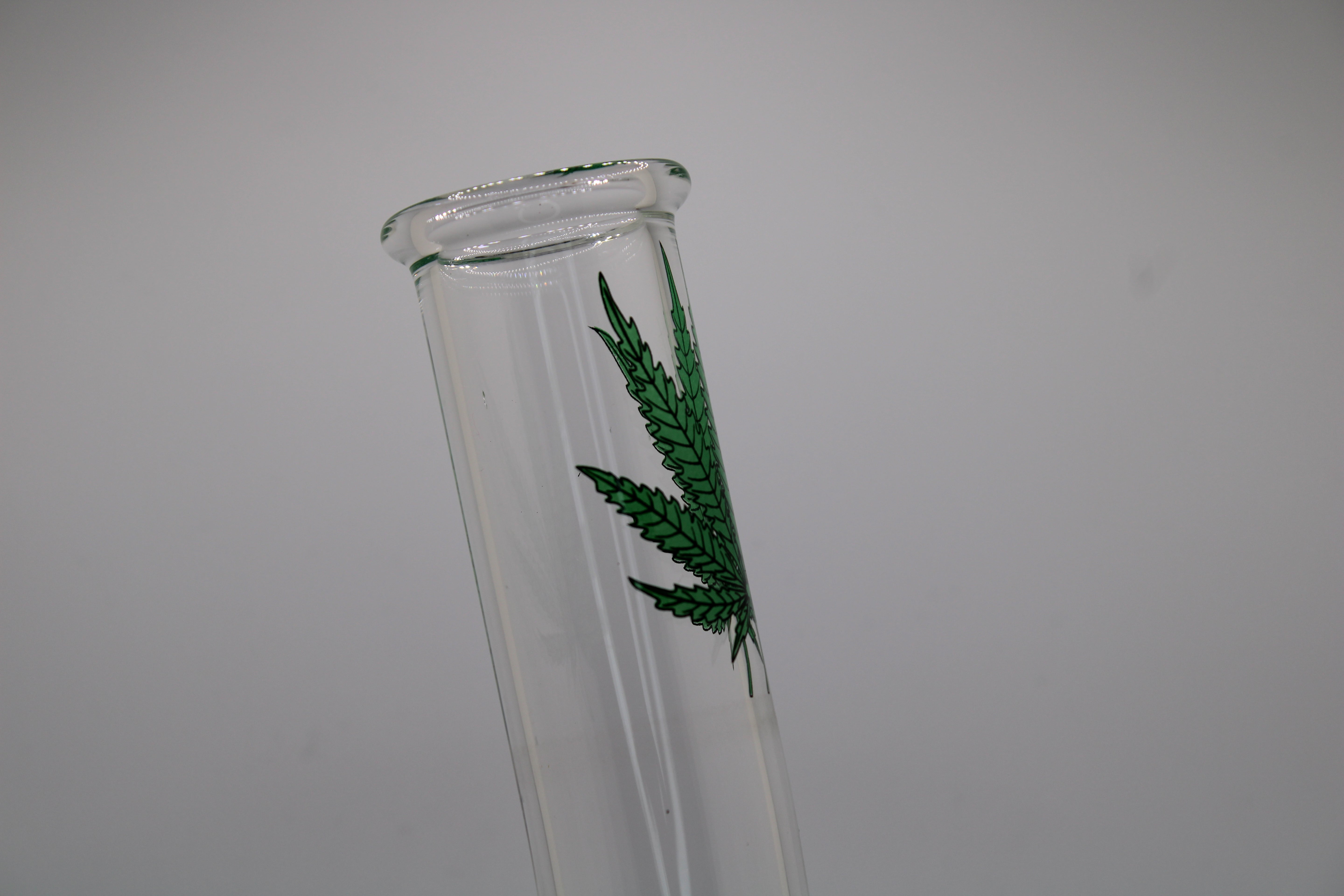 Large Bubble-style Glass Bong